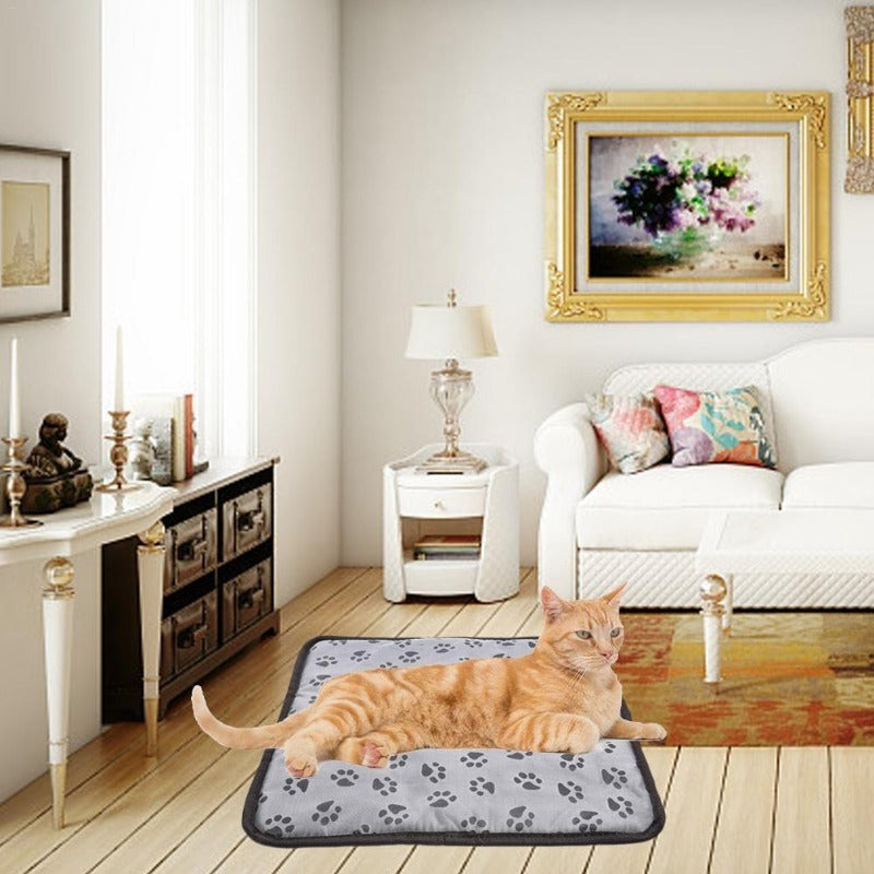 Pet Heated Blanket