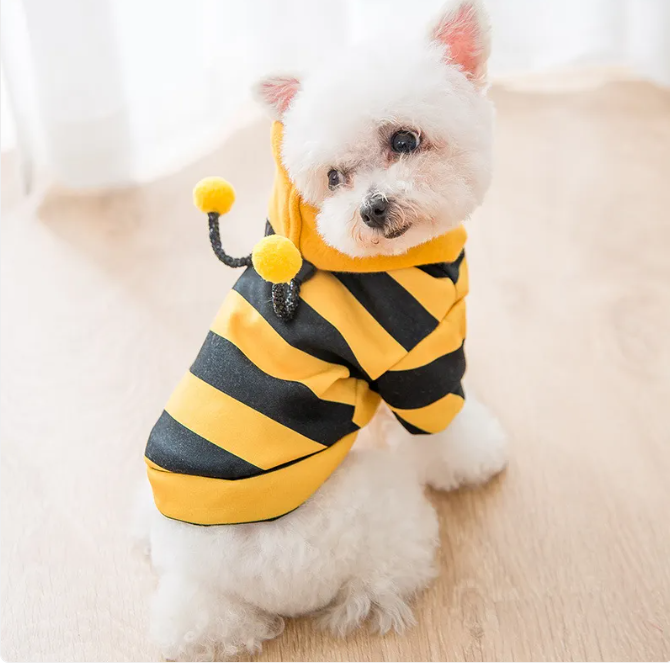 Beeutiful Pet Sweater - Multiple Sizes