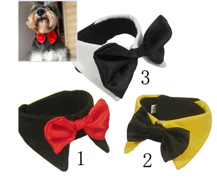 Dapper Doggie Dog Collar