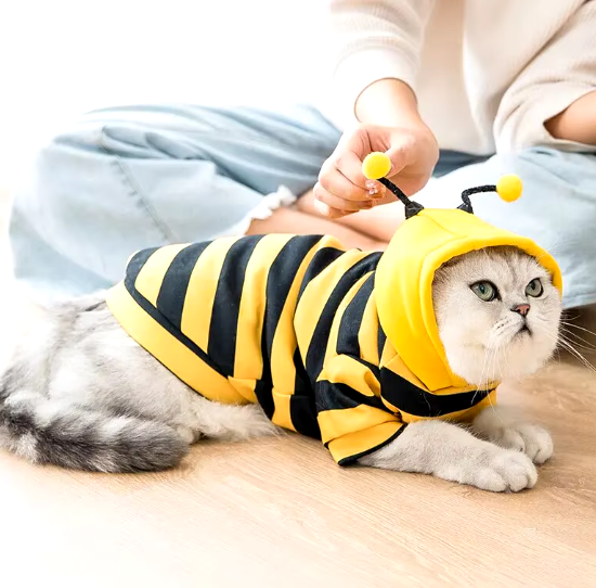 Beeutiful Pet Sweater - Multiple Sizes